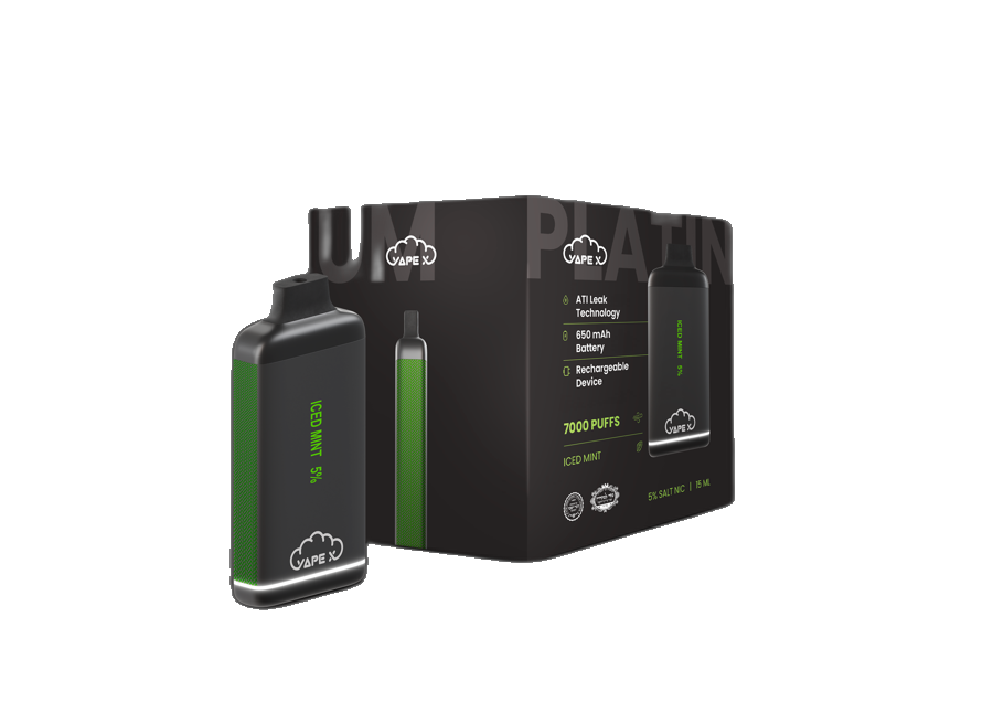 vapeX Iced Mint 5% Nicotine (10 Pack) disposable vape front product view