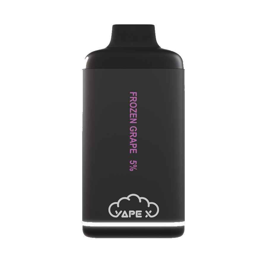 vapeX Variety Pack 5% Nicotine disposable vape front product view