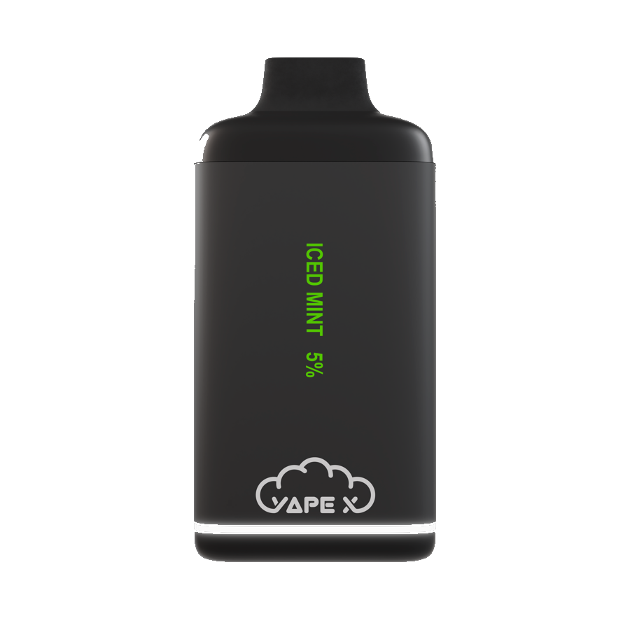 vapeX Iced Mint Vape 5% Nicotine disposable vape front product view