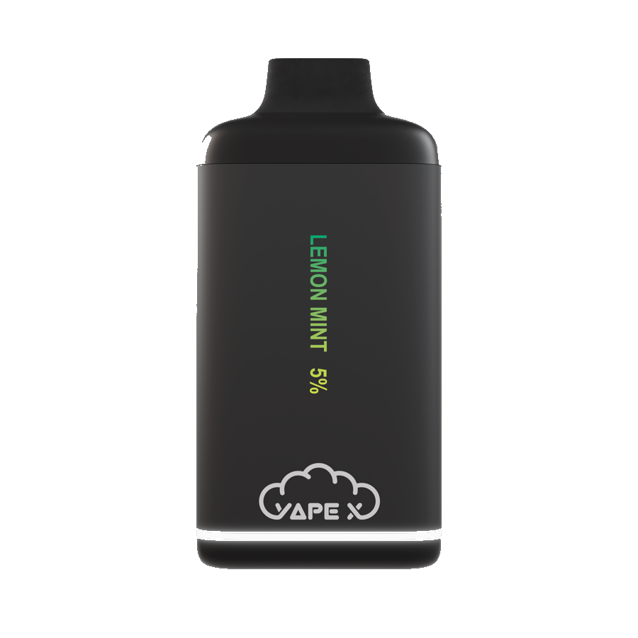 vapeX Lemon Mint 5% Nicotine (10 Pack) disposable vape front product view