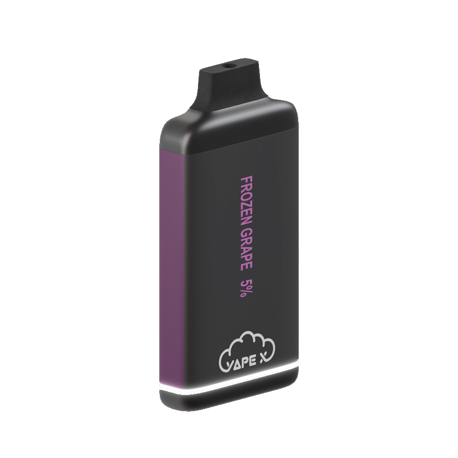 vapeX Frozen Grape 5% Nicotine (10 Pack) disposable vape angled product view