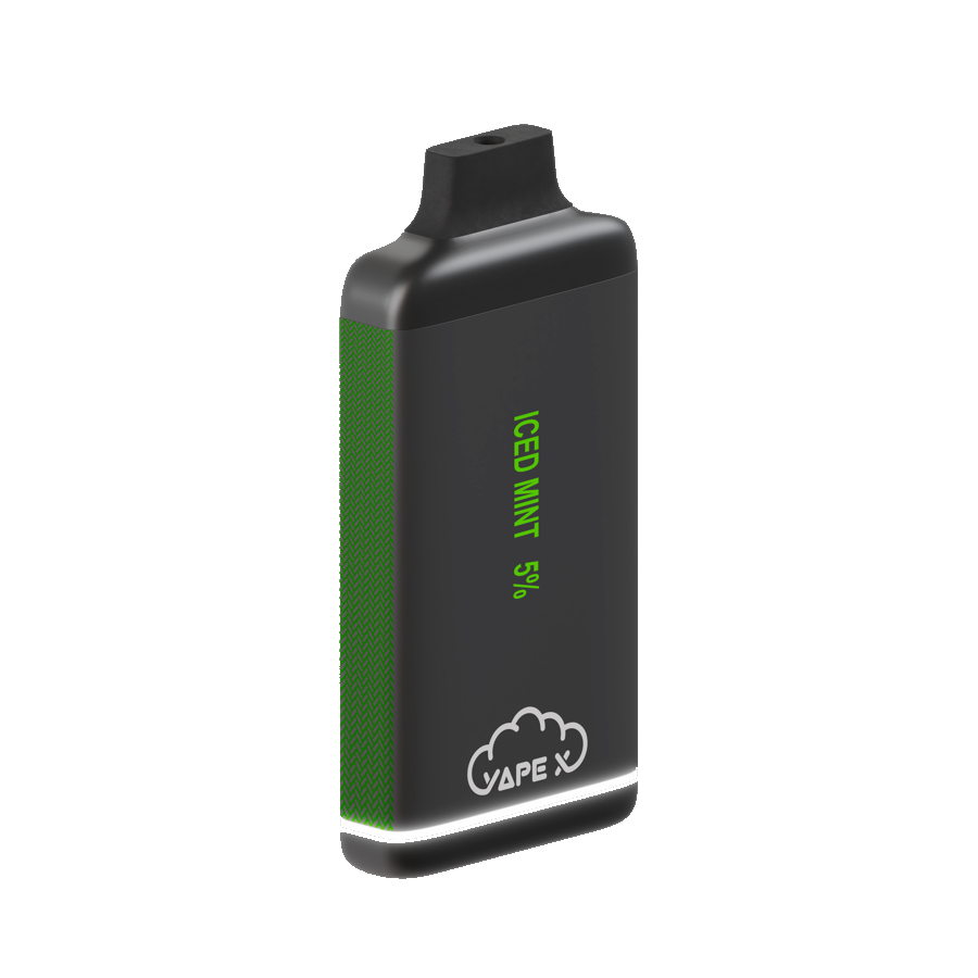 vapeX Iced Mint 5% Nicotine (10 Pack) disposable vape angled product view