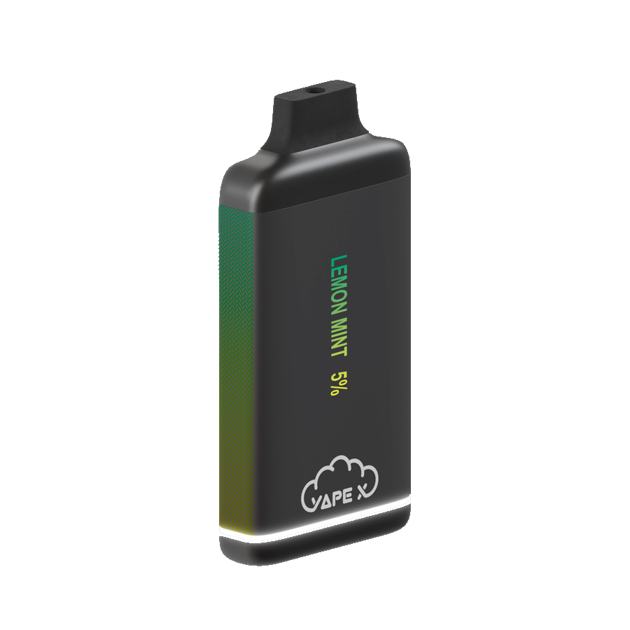 vapeX Lemon Mint 5% Nicotine (10 Pack) disposable vape angled product view