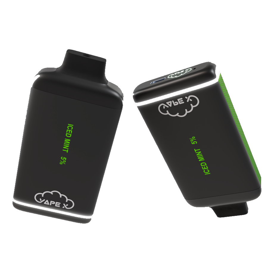 vapeX Iced Mint 5% Nicotine (10 Pack) disposable vape top and bottom detail view