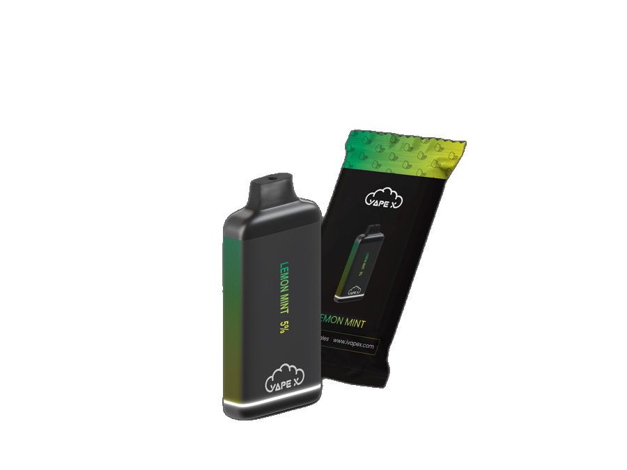 vapeX Lemon Mint 5% Nicotine (10 Pack) disposable vape packaging detail view