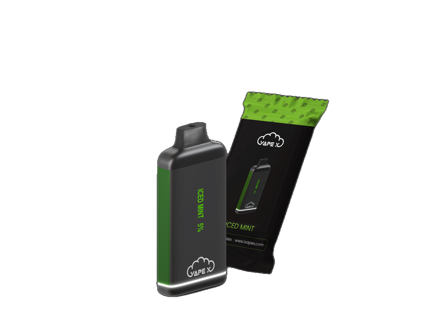 vapeX Iced Mint Vape 5% Nicotine disposable vape packaging detail view