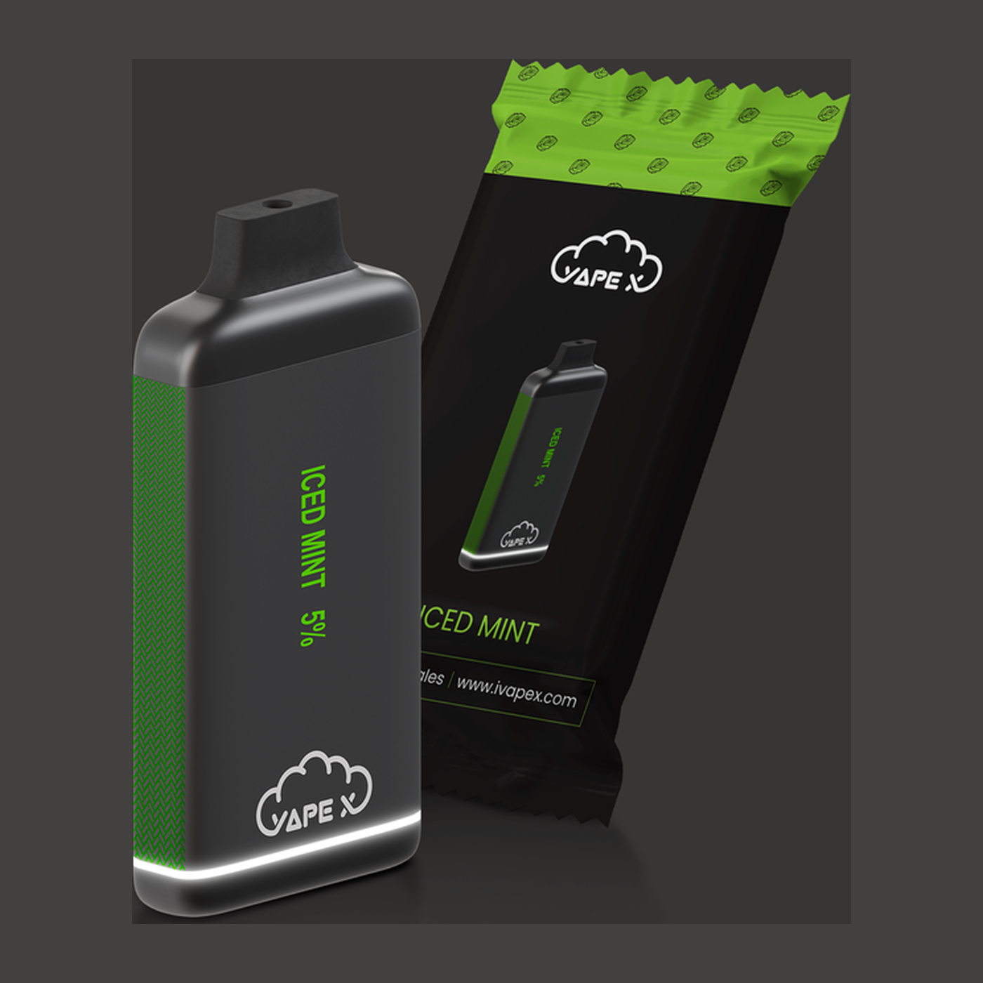 vapeX Iced Mint 5% Nicotine (10 Pack) disposable vape packaging detail view